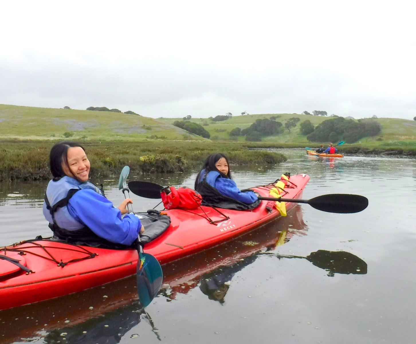 kayak tour elkhorn slough