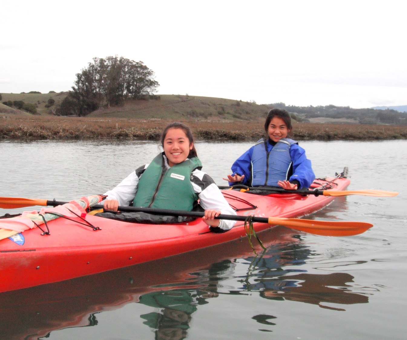 kayak tour elkhorn slough