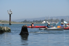 Moss Landing Harbor